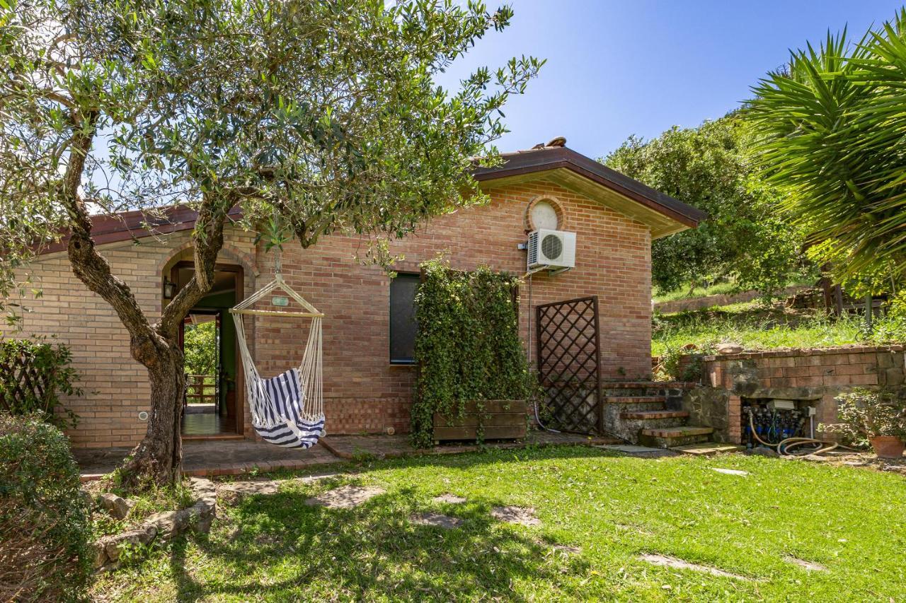 Vineyard Dependance With Shared Pool - Happy Rentals Casal Velino Exteriér fotografie