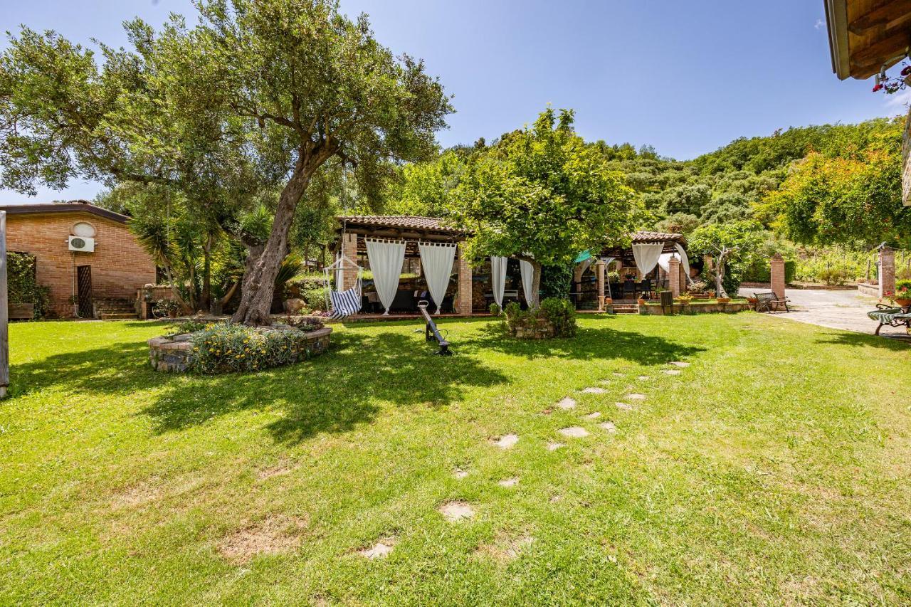 Vineyard Dependance With Shared Pool - Happy Rentals Casal Velino Exteriér fotografie