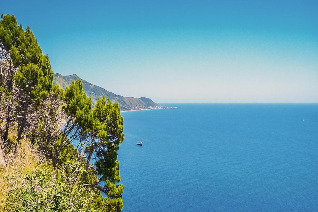 Vineyard Dependance With Shared Pool - Happy Rentals Casal Velino Exteriér fotografie