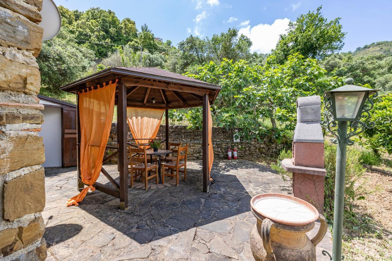 Vineyard Dependance With Shared Pool - Happy Rentals Casal Velino Exteriér fotografie